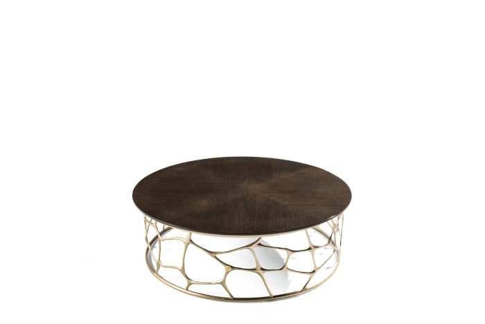 Roberto cavalli - Image 1