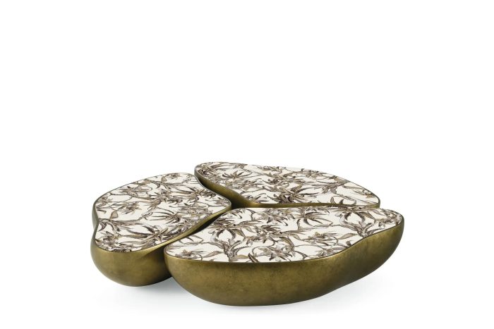 Roberto cavalli - Image 1