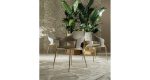 Roberto cavalli - Image 7
