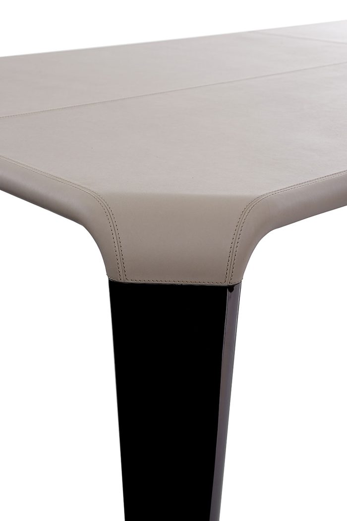 SERENGETI & SERENGETI LEATHER TABLE - Image 7