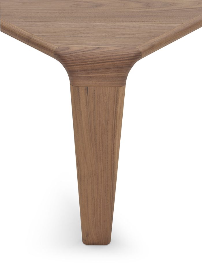 SERENGETI & SERENGETI LEATHER TABLE - Image 5