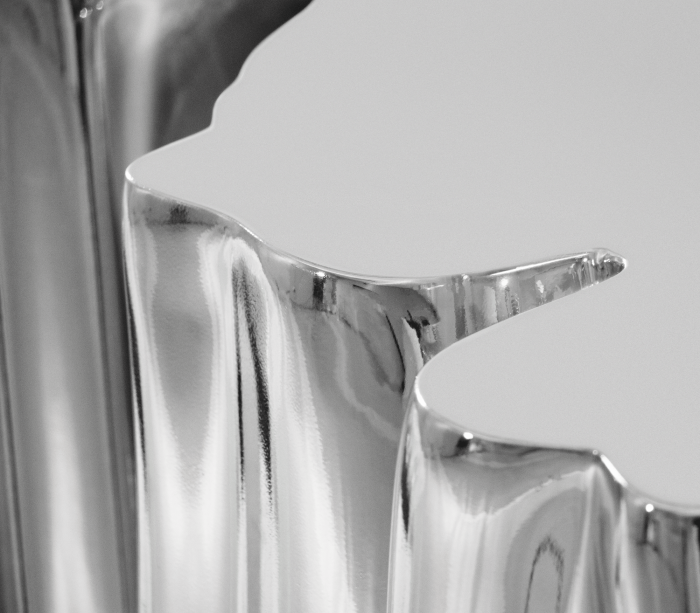 MONOCHROME SILVER - Image 5