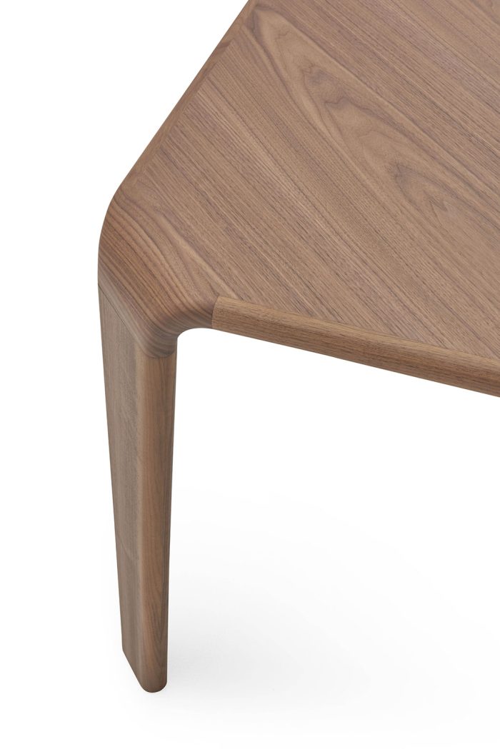 SERENGETI & SERENGETI LEATHER TABLE - Image 6